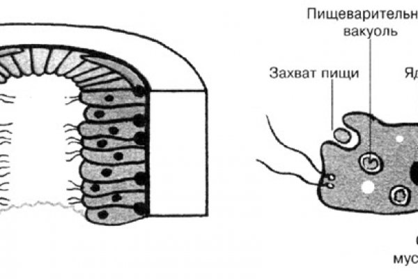 Ссылка на кракен kr2web in